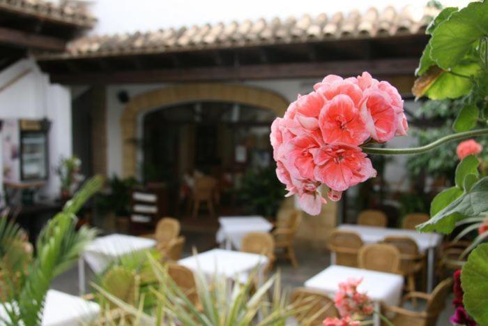 Hostal Torre De Guzman Conil De La Frontera Buitenkant foto